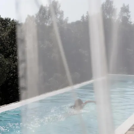 La Voliera سارزانا