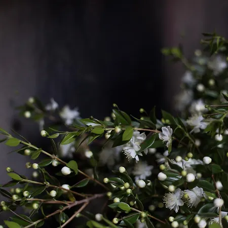 فندق مبيت وإفطار La Voliera